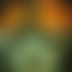 IT'S NOT JUST A SENIOR PHOTOSHOOT, IT'S AN ARTISTIC COLLABORATION - EAST TN, SENIOR PORTRAITS