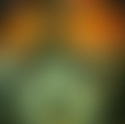 IT'S NOT JUST A SENIOR PHOTOSHOOT, IT'S AN ARTISTIC COLLABORATION - EAST TN, SENIOR PORTRAITS