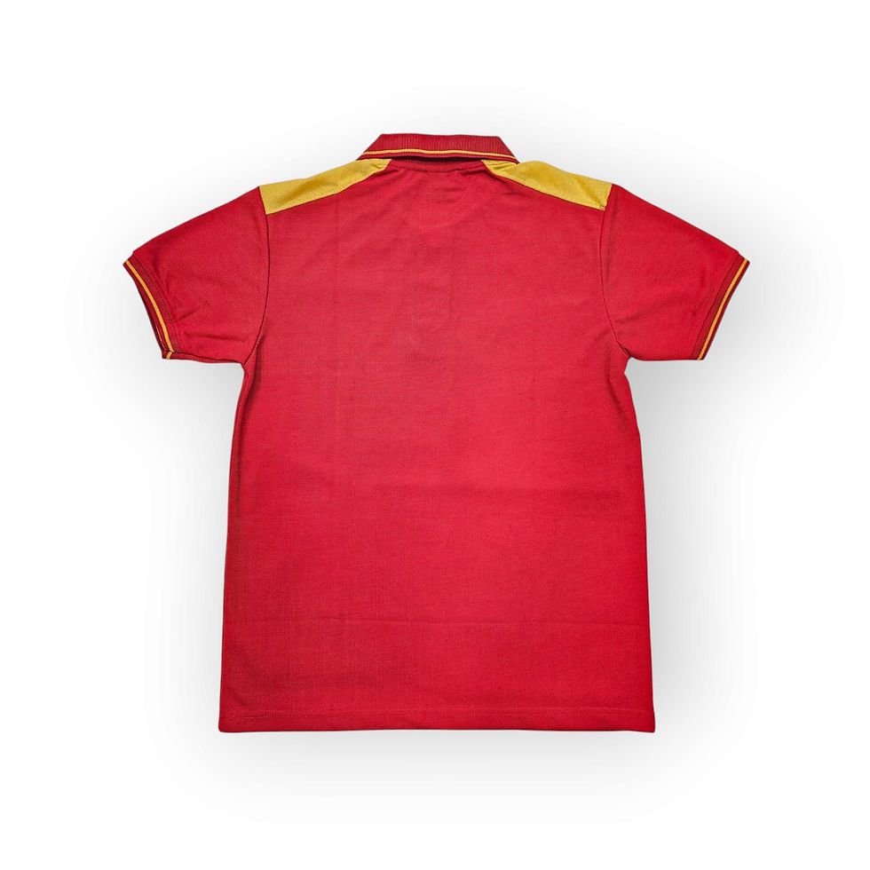 Thumbnail: Regular Fit Half Sleeve Casual T-Shirt | Collar Polo T-Shirt | Red & Yellow