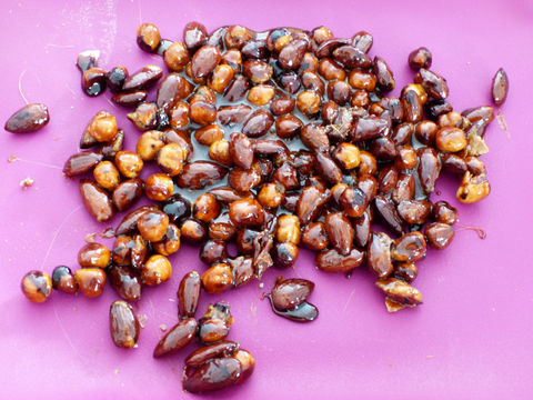 Praliné façon Philippe Conticini