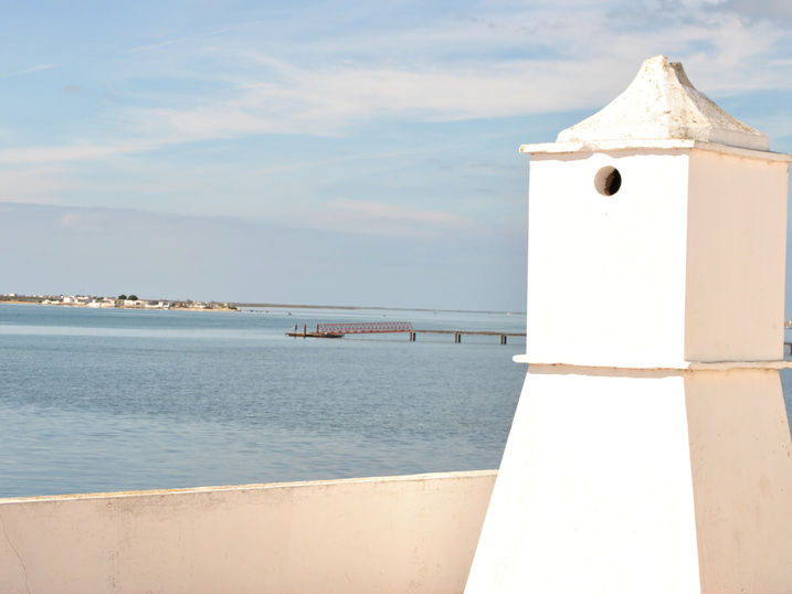 DSC_0107.JPG