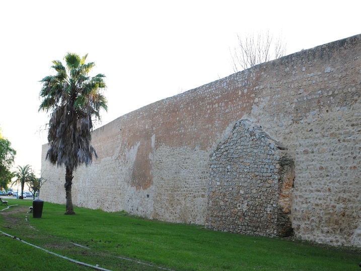 DSC_0528.JPG