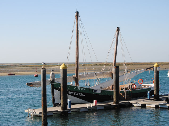 DSC_0428.JPG