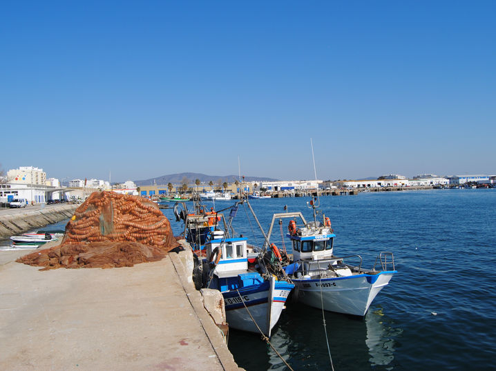 DSC_0462.JPG