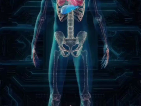 Sistema respiratório