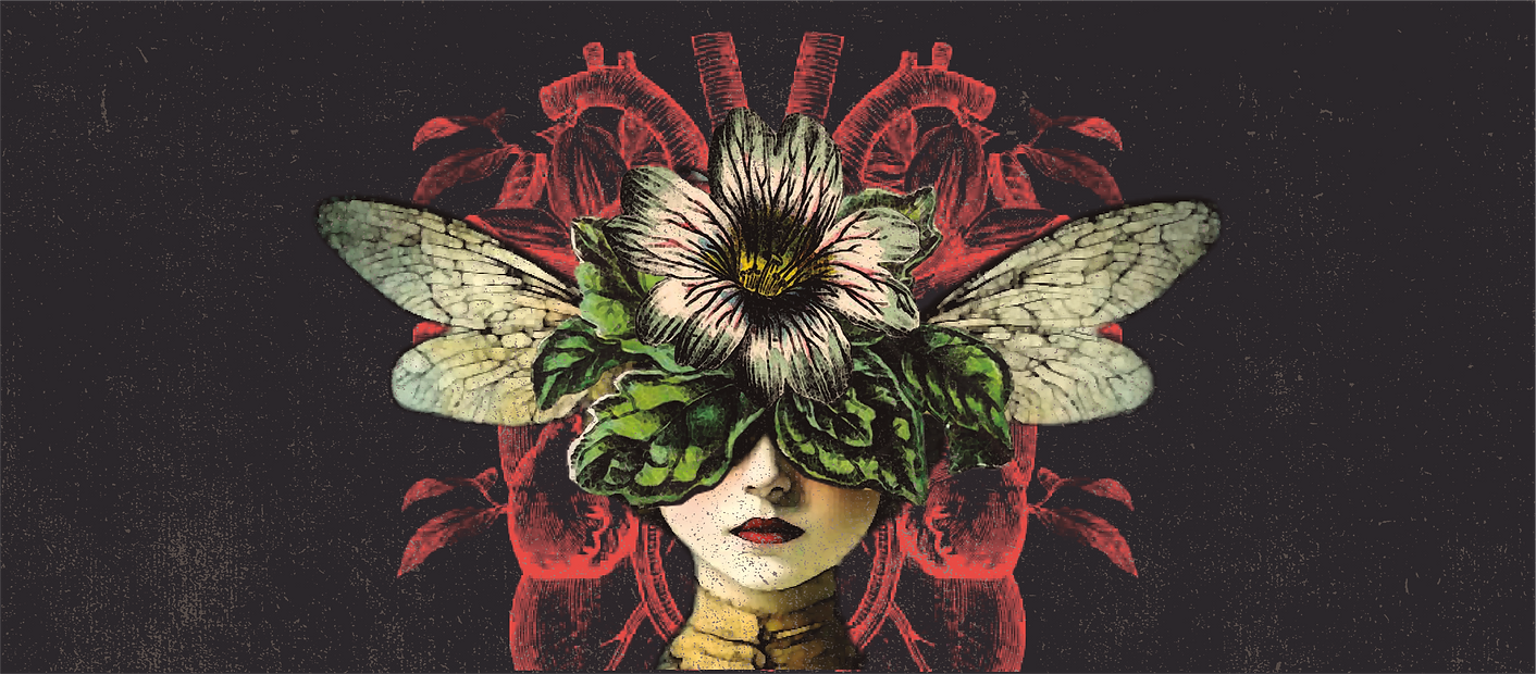 CAPA FB_sem datas_fita_2026_GERAL.png