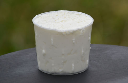 41171-faisselle-de-chevre-nature-1.jpg