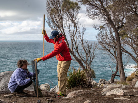 White Water Wall Reveg Working Bee