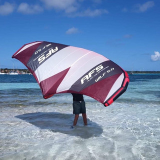 AFS 2022 Wing Wilf display-sports.it