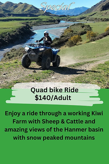 Hot Pool Deals (41).jpg