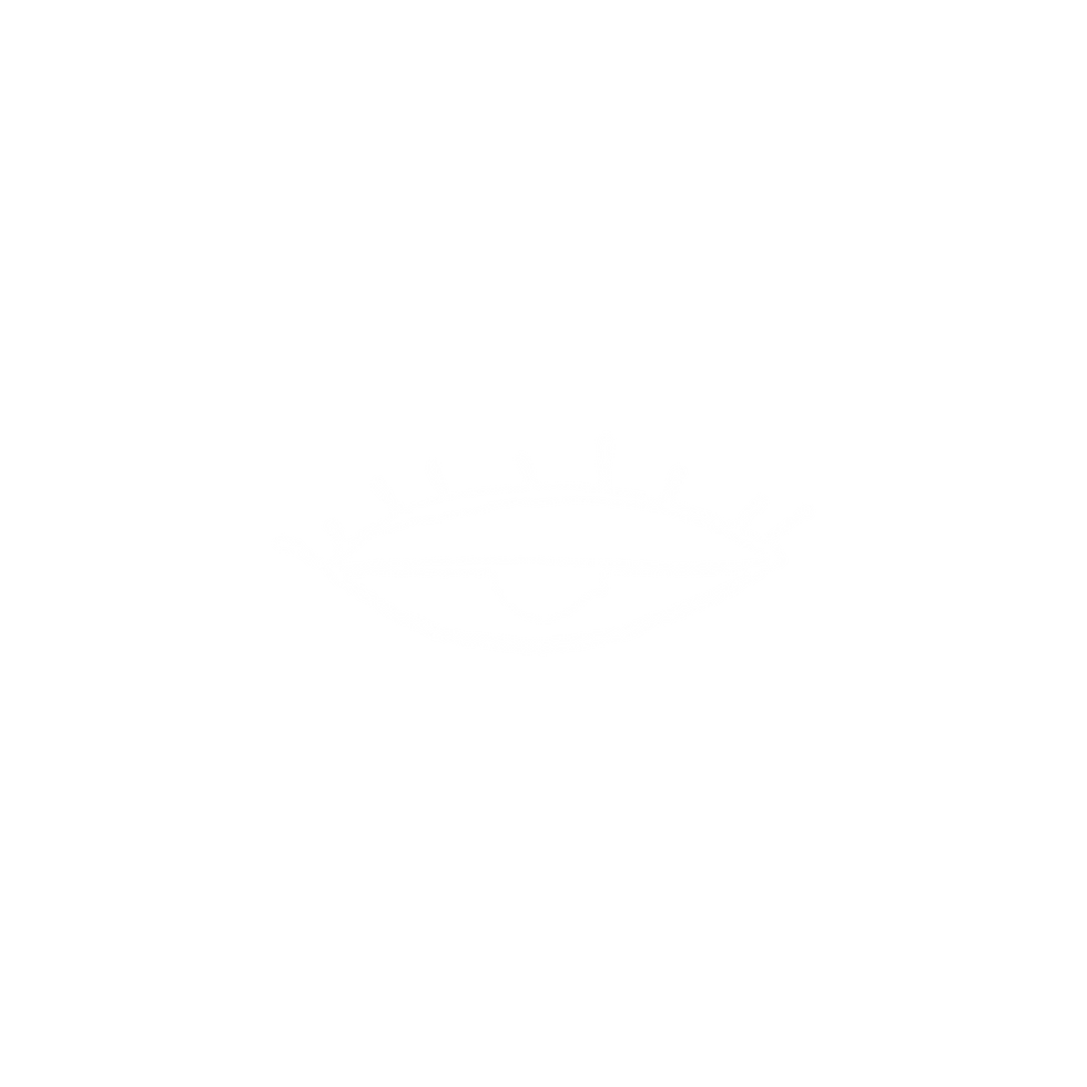 CAOSocial (3).png