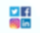 Social Media_Pillar (1).png