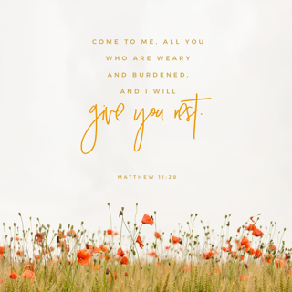 Rest Giver