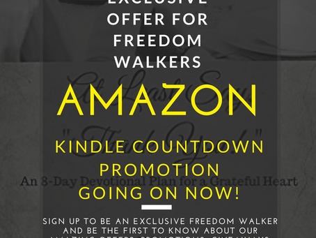 Kindle Countdown Promotion Going On Now!