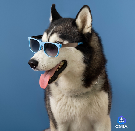 Sans titre (500 x 500 px)(1).png