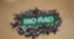 Bio Rad_1