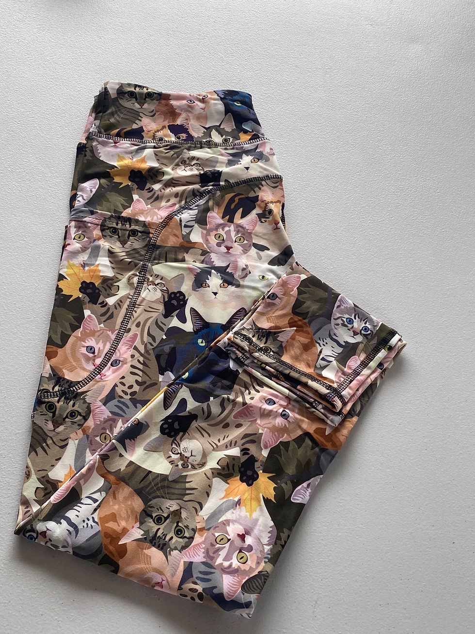 Furever Friends plus Leggings