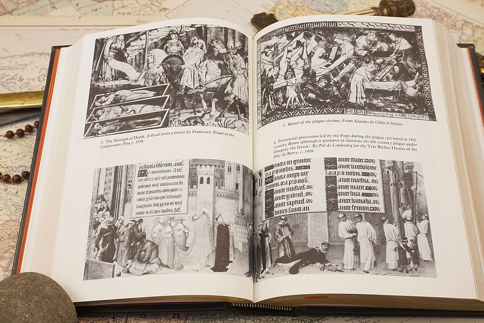 Thumbnail: "A Distant Mirror, The Calamitous Fourteenth Century" Barbara W. Tuchman 1978