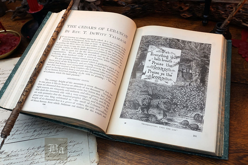 Thumbnail: "Life and Teachings of Rev. T. De Witt Talmage" Memorial Volume, 1902