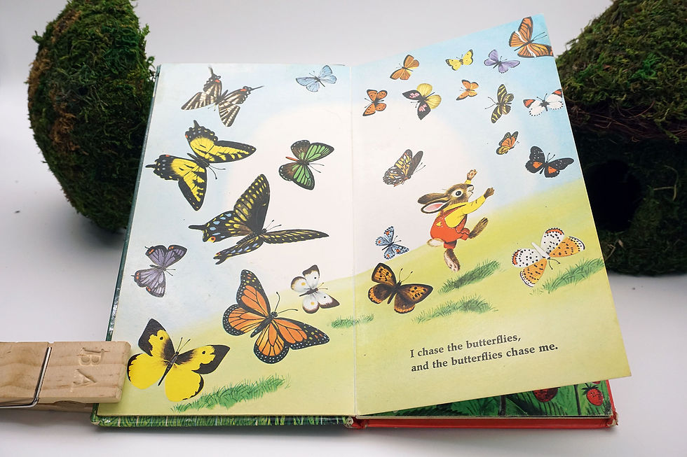 Thumbnail: "I Am a Bunny" (A Golden Sturdy Book) Ole Risom - 1963