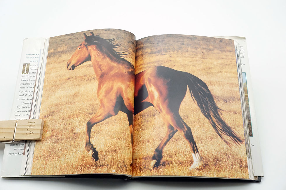 Thumbnail: "Shy Boy: The Horse that Came in from the Wild" Monty Roberts - 1999