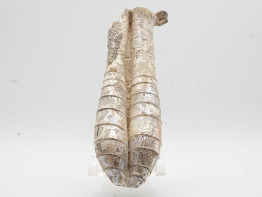 Roman Pale Green Glass Double Unguentarium (late 1st - early 2nd Century AD)  |  Smithsonian Provenance  |  $1150.00