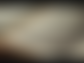 Pictorial Interpretations of the Lord's Word and the Legacy of Biblia Pauperum