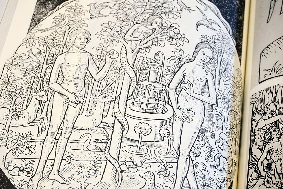 Thumbnail: "Fabulous Feasts - Medieval Cookery & Ceremony" Madeleine Pelner Cosman, 1989