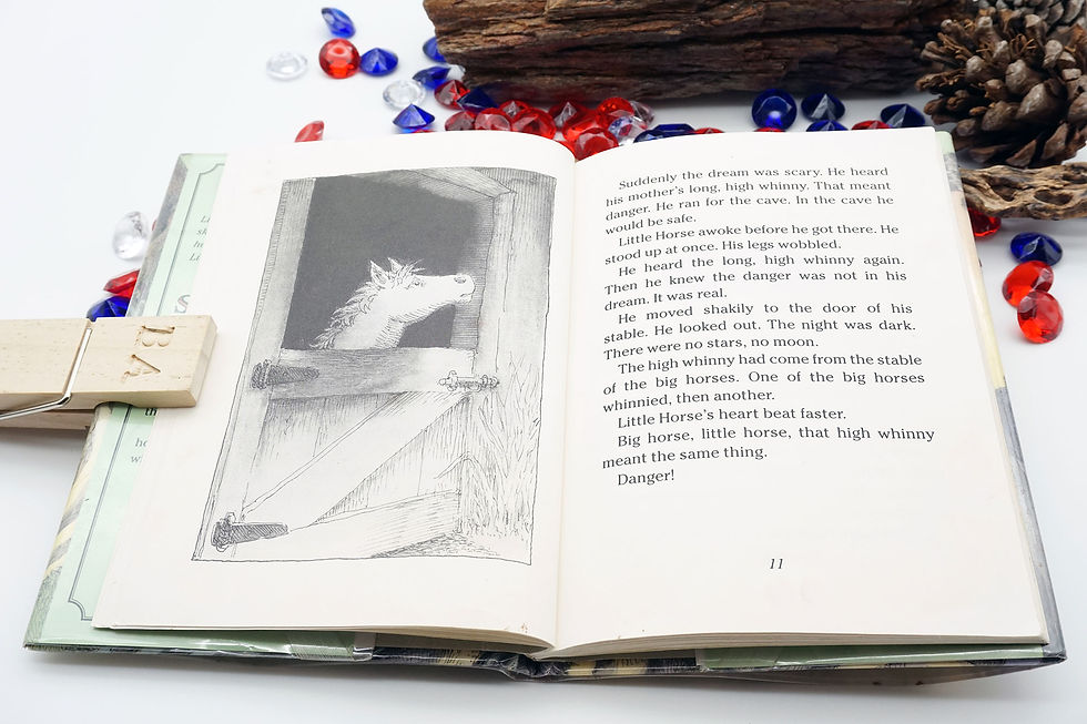 Thumbnail: "Little Horse on His own" Betsy Byars - 2004