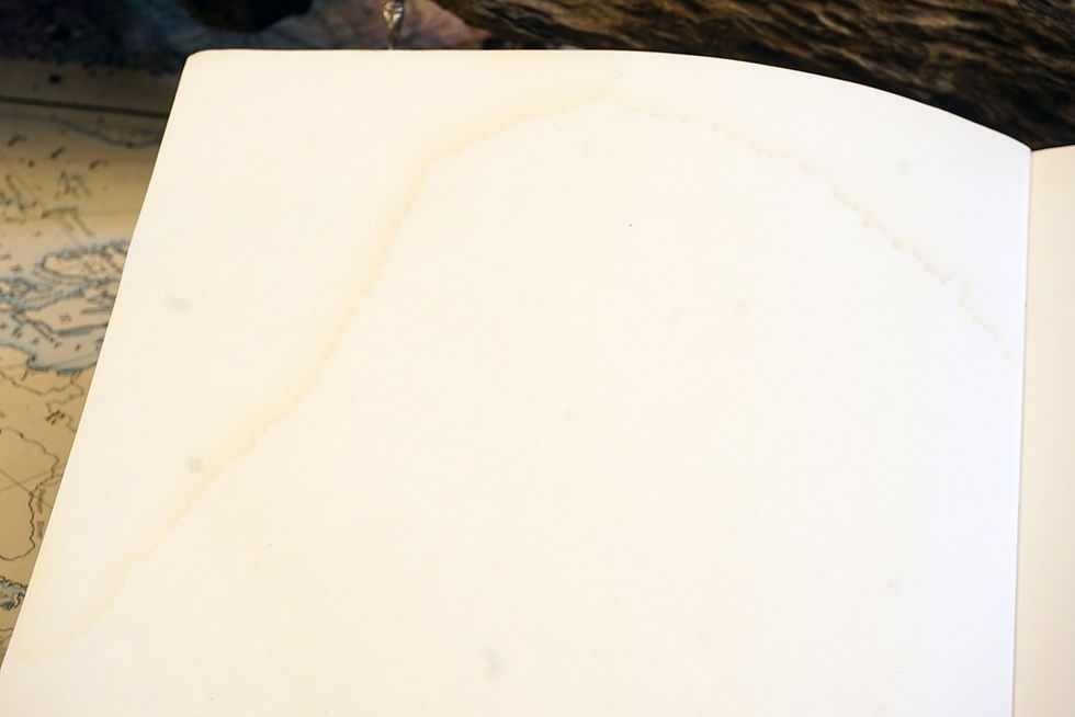 Thumbnail: "In Search of the Dark Ages" Michael Wood, 2001