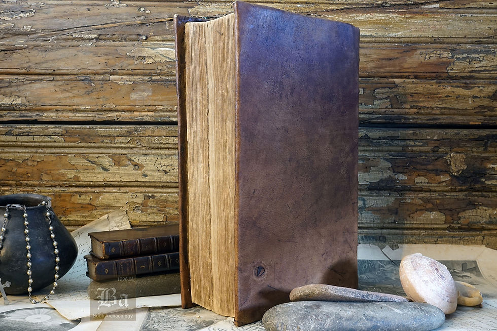 Thumbnail: "Survey of of the Cities of London and Westminster" John Stow, 1754