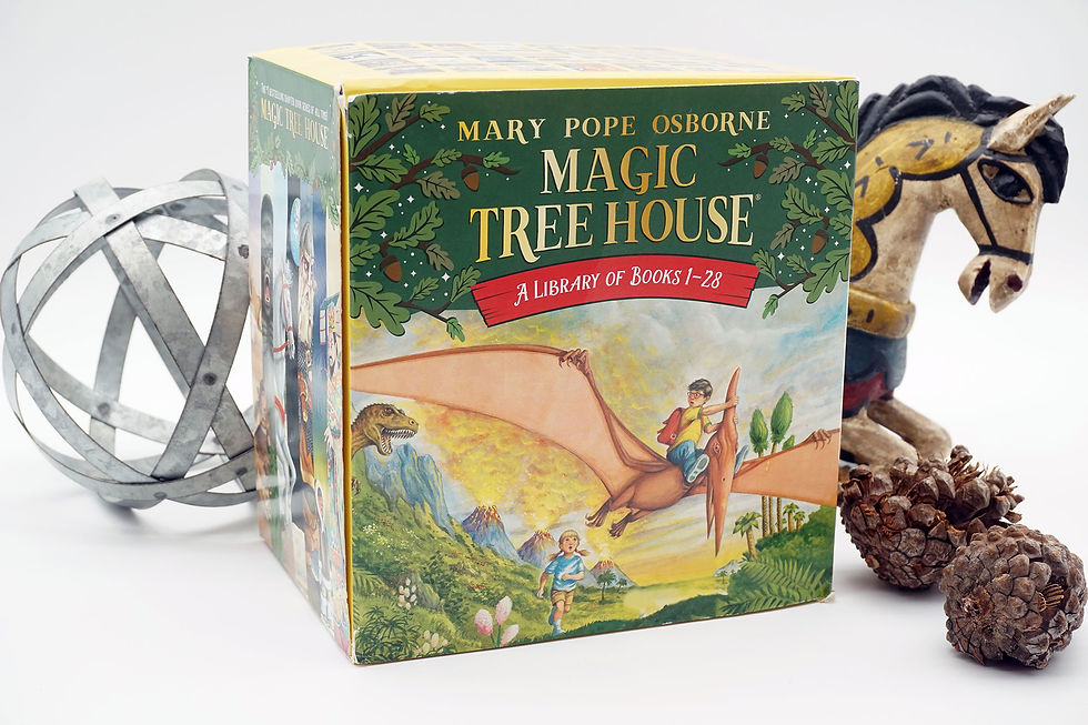 Thumbnail: "Magic Tree House Boxed Set, Books 1-28 " Mary Pope Osborne - 2007