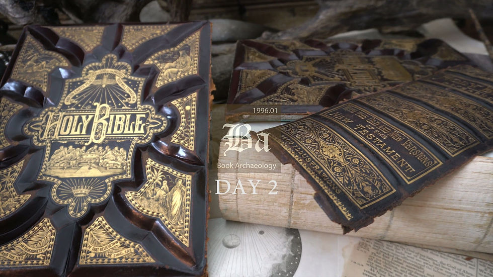 Thumbnail: "1882 Victorian Holy Bible" (2500 Scripture Illustrations) Baird & Dillion