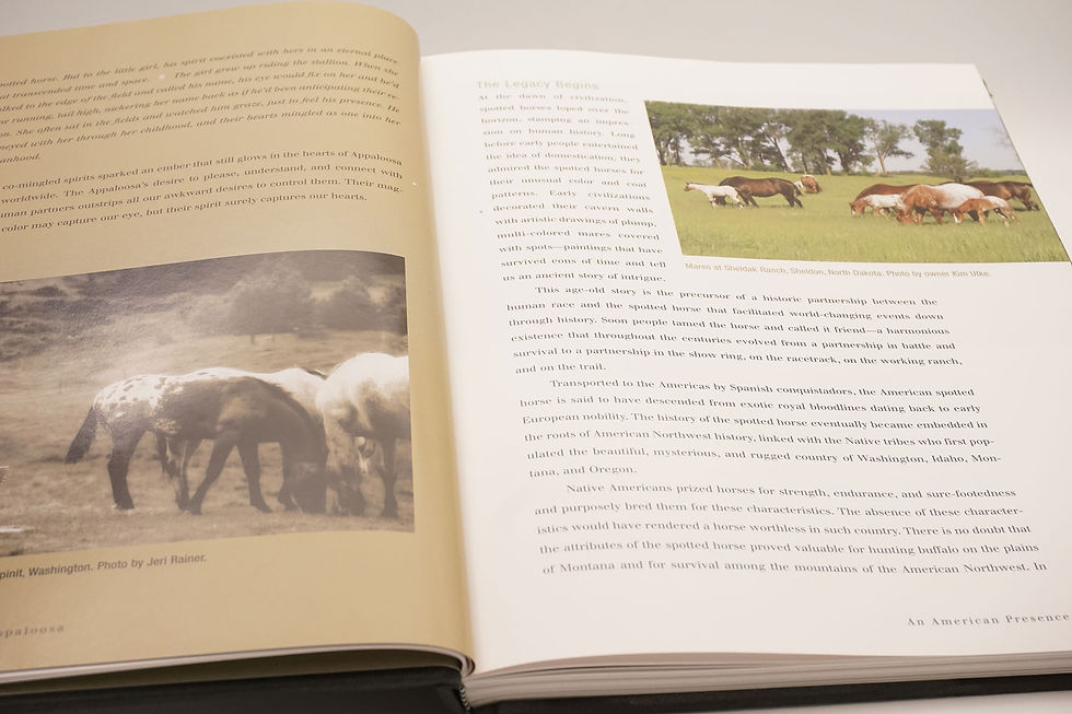 Thumbnail: "The Legendary Appaloosa" Cheryl Dudley - 2007