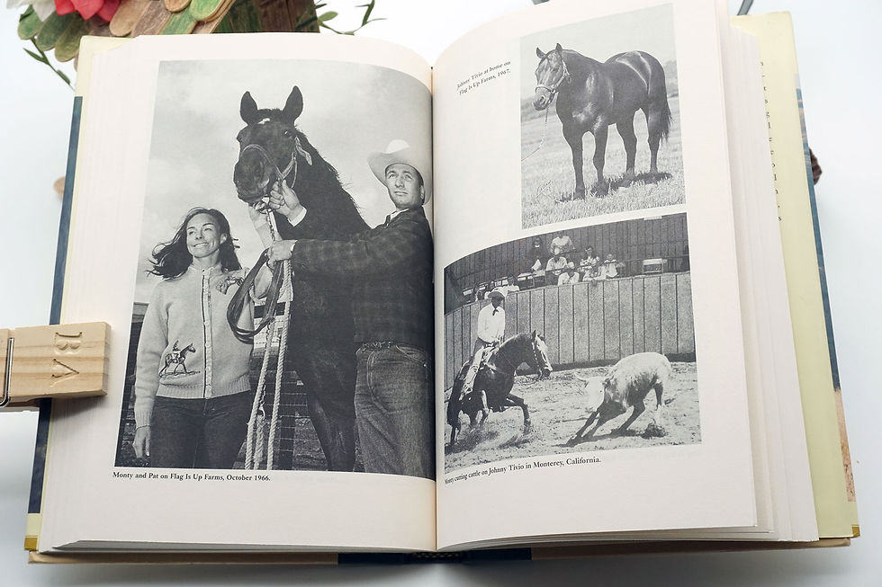 Thumbnail: "The Man Who Listens to Horses - Monty Roberts" Lawrence Scanlan - 1997