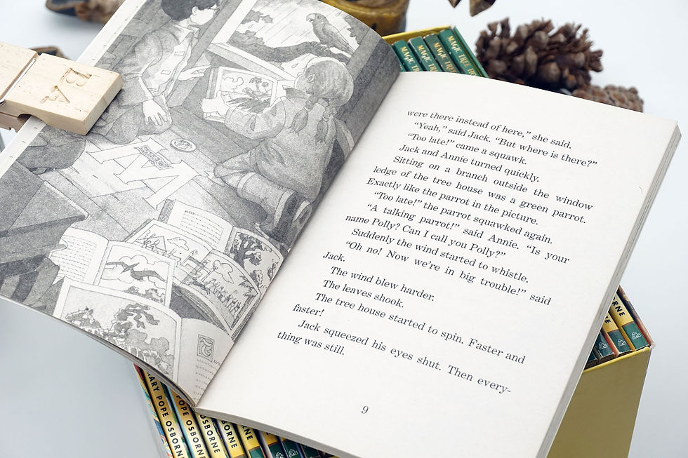 Thumbnail: "Magic Tree House Boxed Set, Books 1-28 " Mary Pope Osborne - 2007