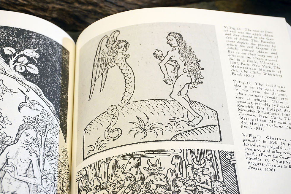 Thumbnail: "Fabulous Feasts - Medieval Cookery & Ceremony" Madeleine Pelner Cosman, 1989