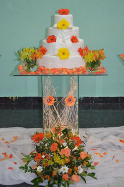 Decoração - Salmão