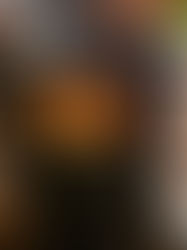 MOKIストーブの改造(?)を試みる その1