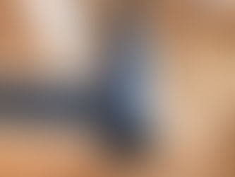 (※注意 長い)煙突に鳥が紛れ込んできたついでに煙突の内部をチェックしてみた