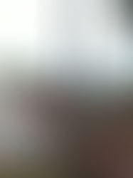 オリジナル薪ストーブ製作への長旅 5