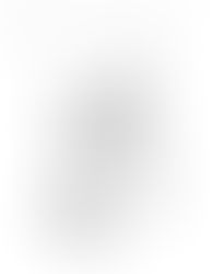 オリジナルの二次燃焼機構の特許を出願。