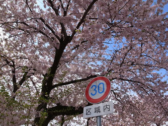 【イベント報告】西見前 中古住宅リノベーション 完成見学会