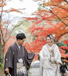 wasou_231129_059 (1)_edited.jpg