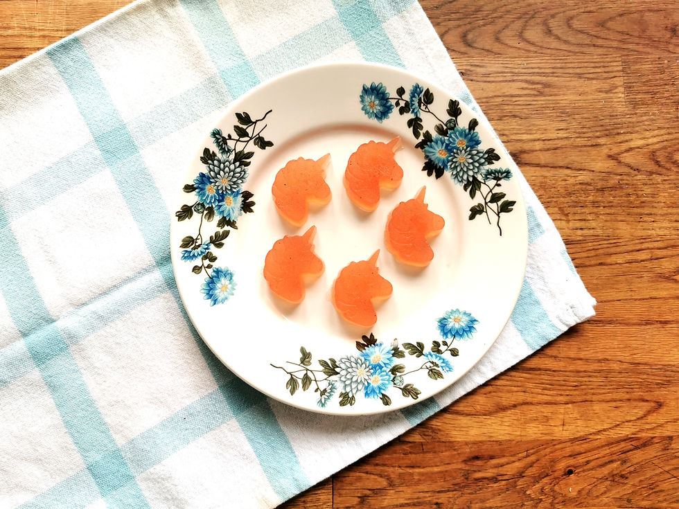 Kombucha Gummies!