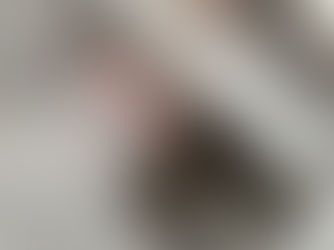 Lisa and cats – the purrrfect volunteer match