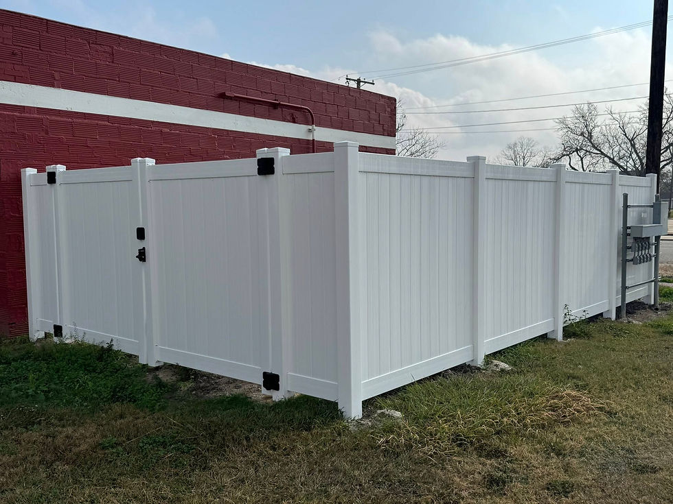 FENCE 2.jpg