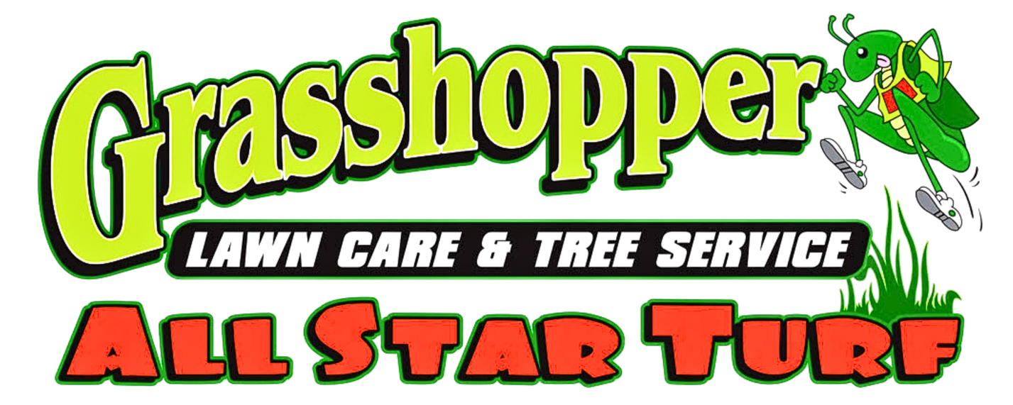 ..11Logo
