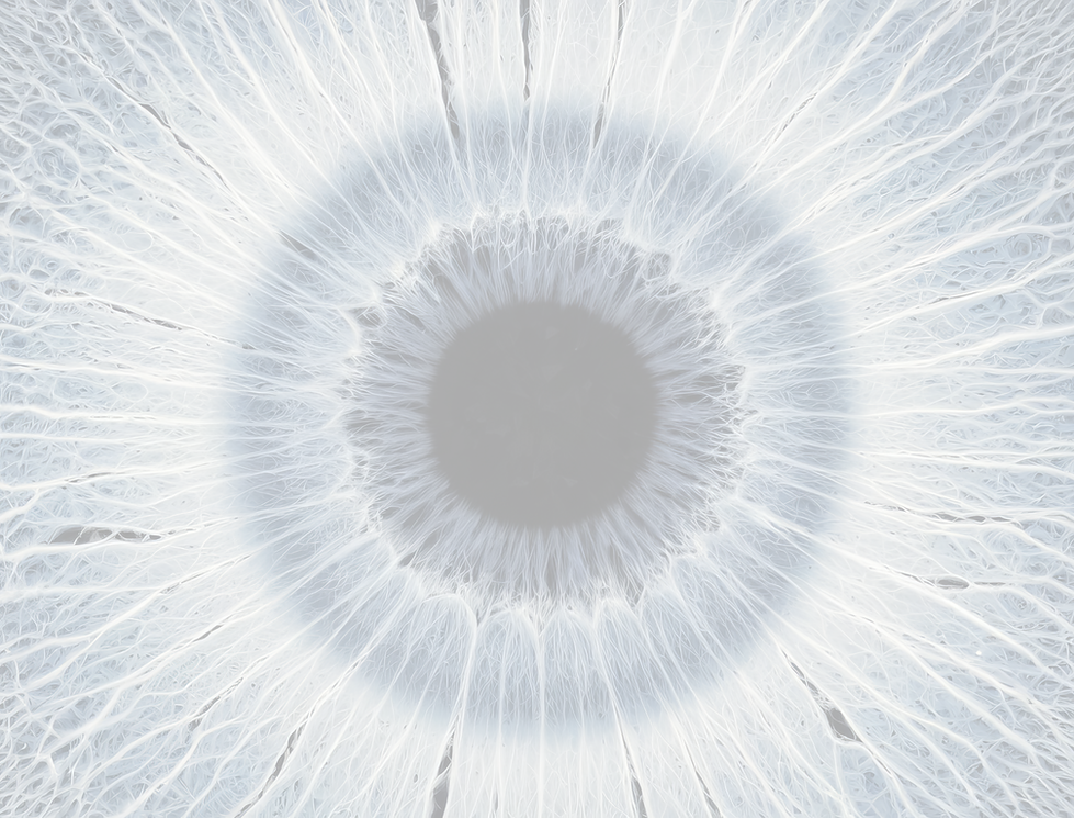 AdobeStock_1084528216_edited.png