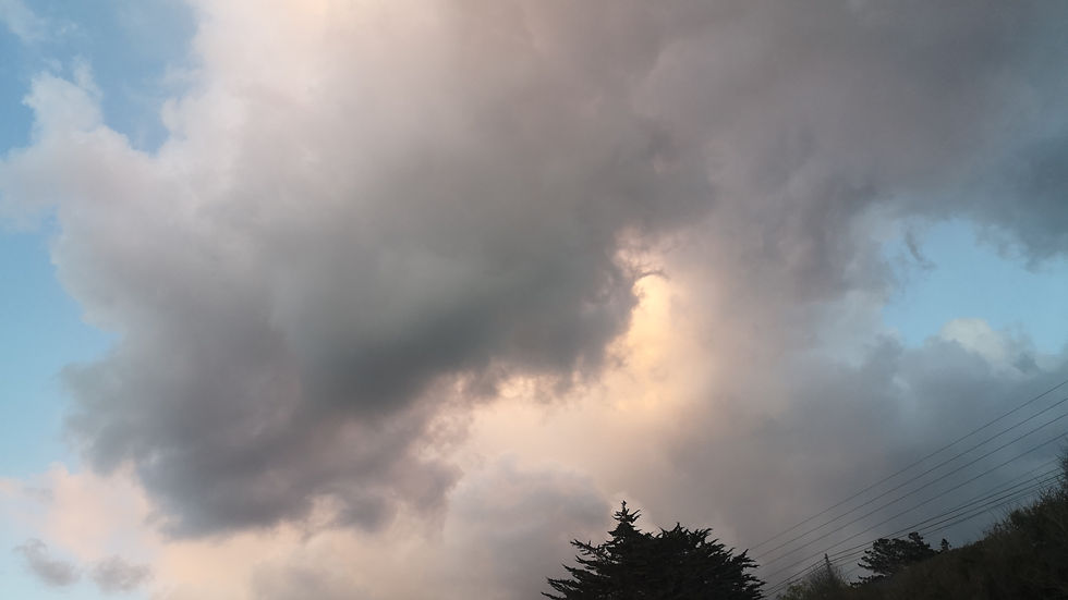 IMG-20220331-WA0031